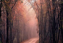 随着申花3-1，泰山4-3，国安1-1，中超最新积分榜：前4名同积7分.