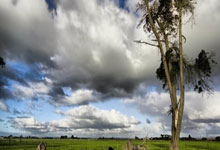 问鼎娱乐官网：中国羽球大师赛骆建佑止步首轮 男女单头号种子晋级.