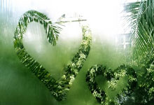 [CBA]总决赛5月15日：辽宁VS新疆 张镇麟集锦.