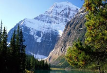 问鼎娱乐官网：中国马拉松继续提速！2024年路跑赛事规模超704万人次.