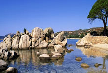 问鼎娱乐官网：他们在沙特为国足助威2025-03-21.